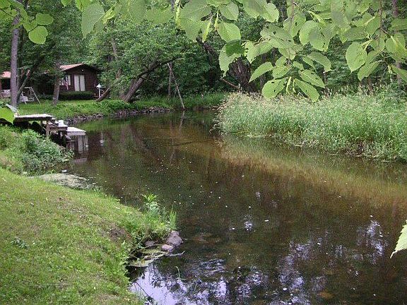 50'+ Pine River Frontage