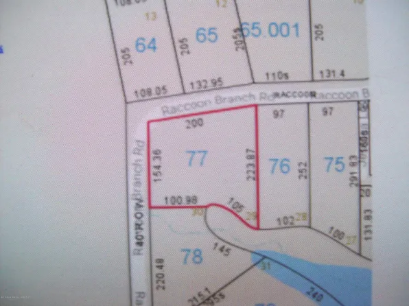 Raccoon Branch Rd, Jasper, AL 35504