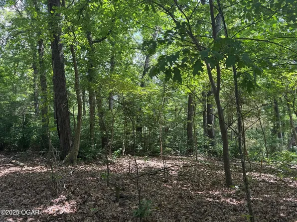 0 Twin Springs Dr, Cassville, MO 65625