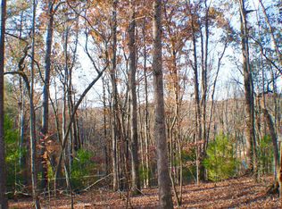 Quiet Ln, Blue ridge, GA 30513