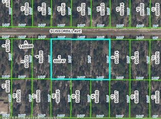 Scissorbill Ave, Weeki wachee, FL 34614