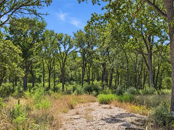 115 Deep Woods Ct, Cedar Creek, TX 78612