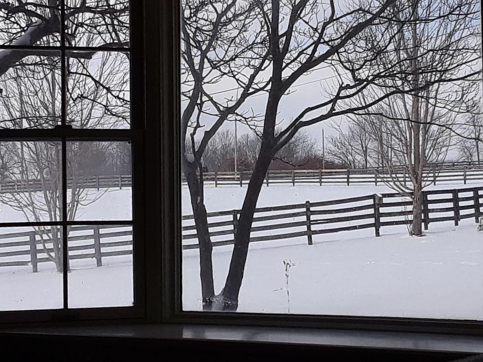 View from Log Cabin main floor