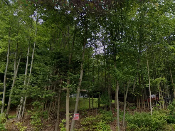 1195 State Route 52 #2, Loch Sheldrake, NY 12759