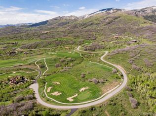 33900 Canyon Ct, Steamboat Springs, CO 80487