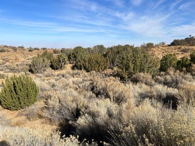 Barrel Springs Rd, Palmdale, CA, 93550