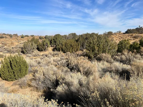 Barrel Springs Rd, Palmdale, CA 93550
