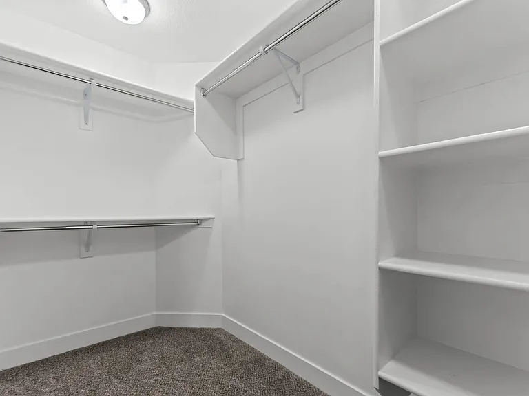 Primary Closet