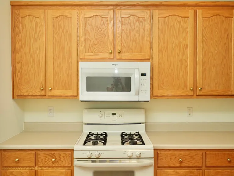 1119 Somer Chase Ct — Photo 15