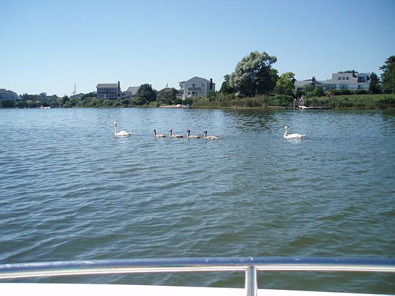 Potter Pond