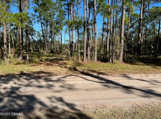 4055 Swamp Deer Rd, New Smyrna Beach, FL 32168