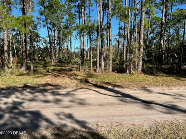 4055 Swamp Deer Rd, New Smyrna Beach, FL 32168