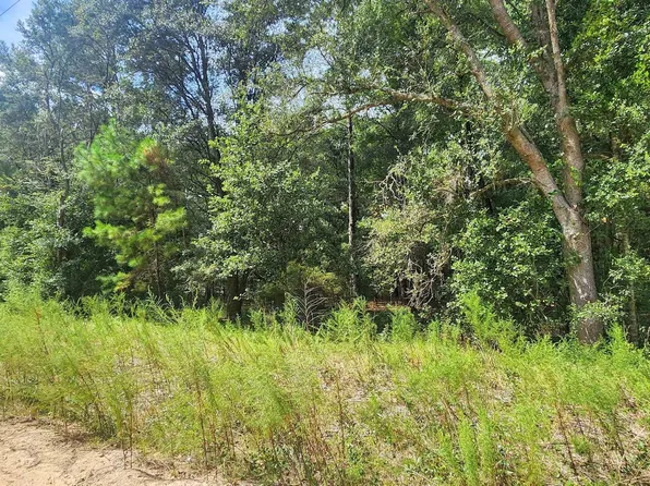 Donys Ave, Interlachen, FL 32148