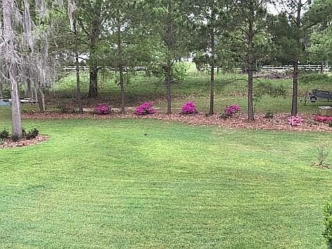 Southern Classic-Azalea&Pine