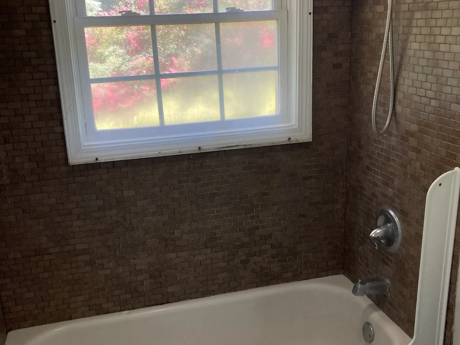 846 Luna Lake Rd — Photo 4