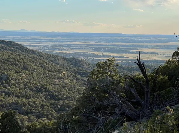 Canyon View Rd, Fence Lake, NM 87315