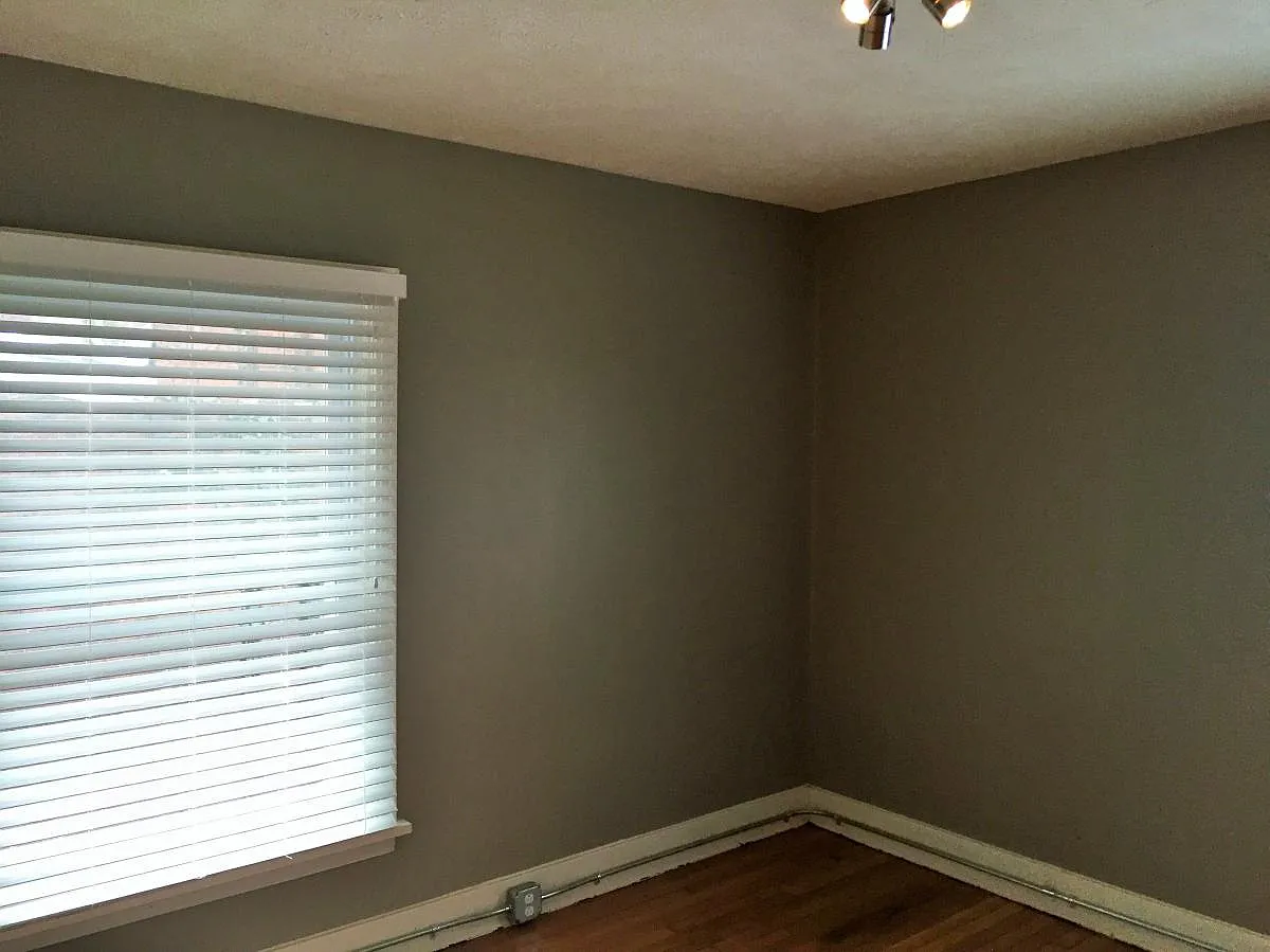 1 bed, $1,195 — Photo 4