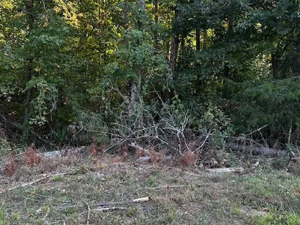 1103 W Adrian Cir SW, Conyers, GA 30094