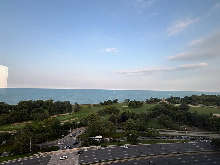 3950 N Lake Shore Dr #2000 — Photo 14