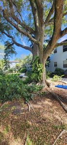 7840 SW 55th Ave #24D, Miami, FL, 33143
