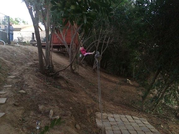 Backyard (behind the pool)