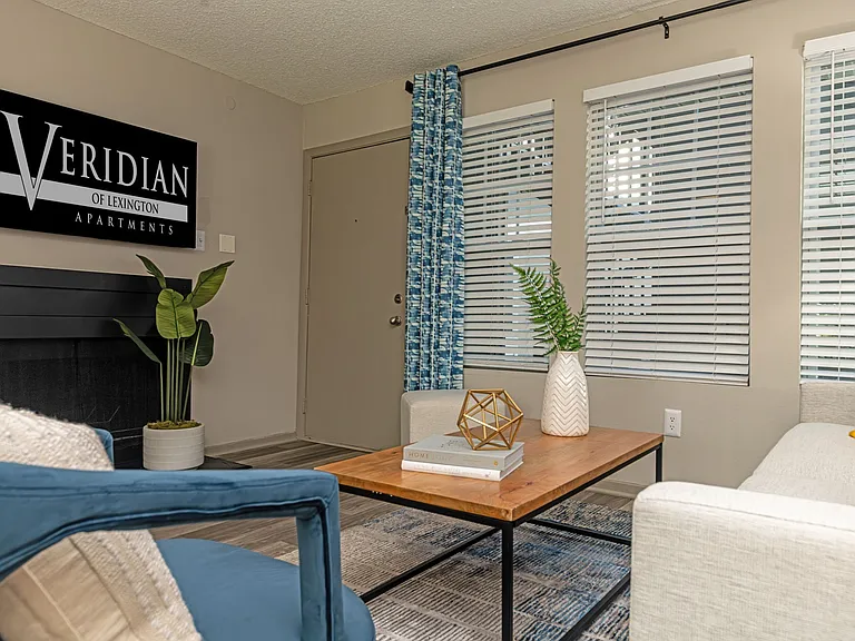 Living room decor