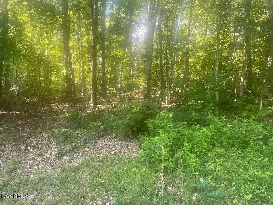 1st image of 0 Shady Shores Ln Lot 28