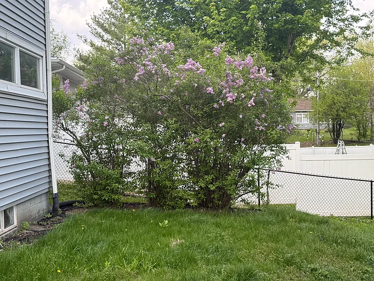 3315 Tripp St — Photo 24