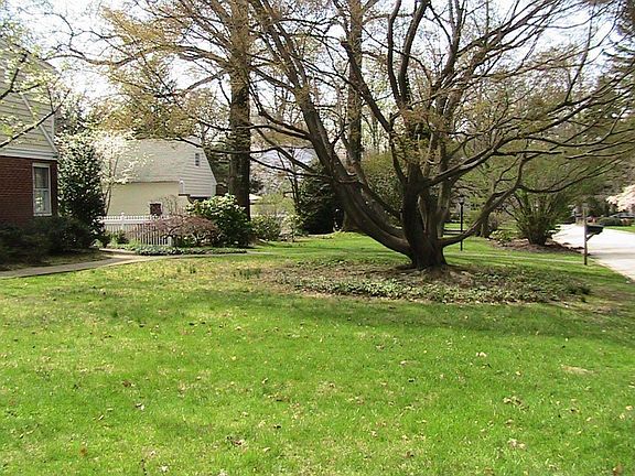 Side Yard