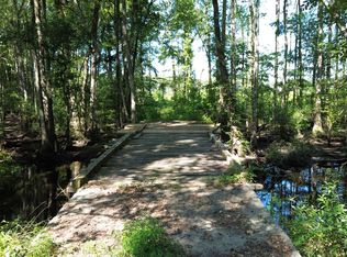 0 Lowcountry Hwy, Ruffin, SC 29475