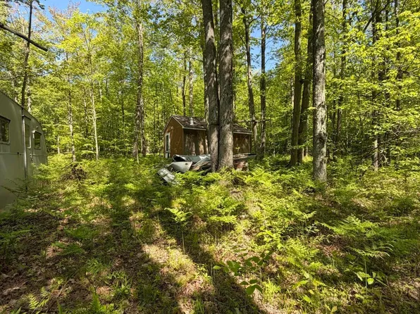 110th Ave, Evart, MI 49631