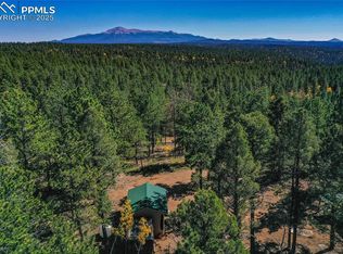 3447 Pathfinder Rd, Florissant, CO 80816