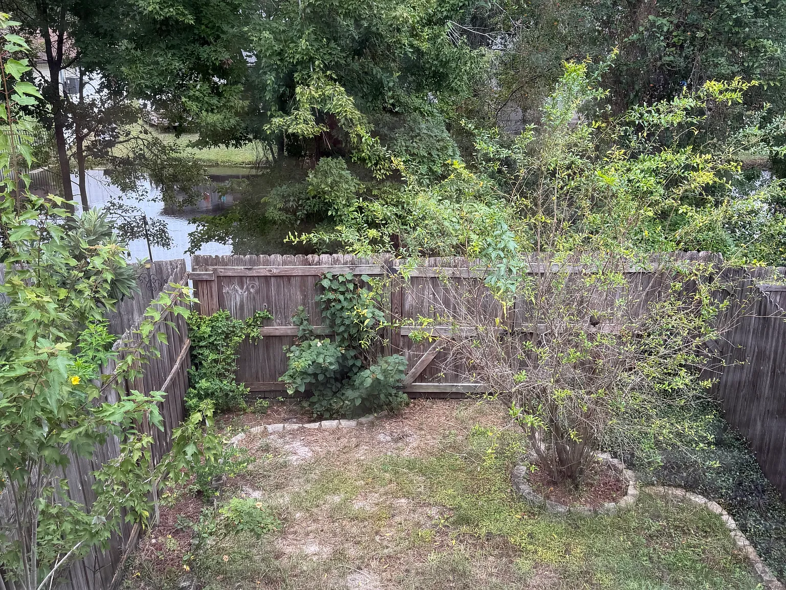 2 bed, 2.5 bath, 1624 sqft, $1,825 — Photo 4