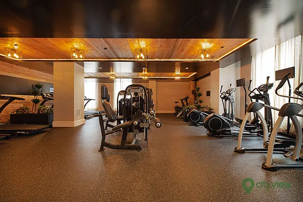 Rented by City View Living | media 5