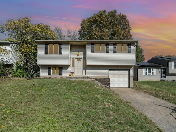 6575 Louise Ct, Florence, KY 41042