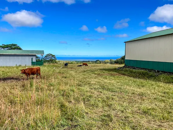 17-4870 South Rd Lot A, Kurtistown, HI 96760