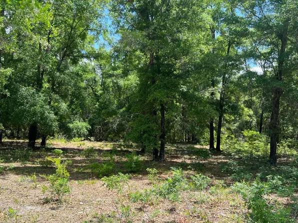 Tbd Sw Roanoke Ter, Fort White, FL 32038
