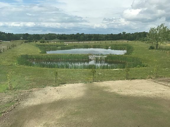 pond view