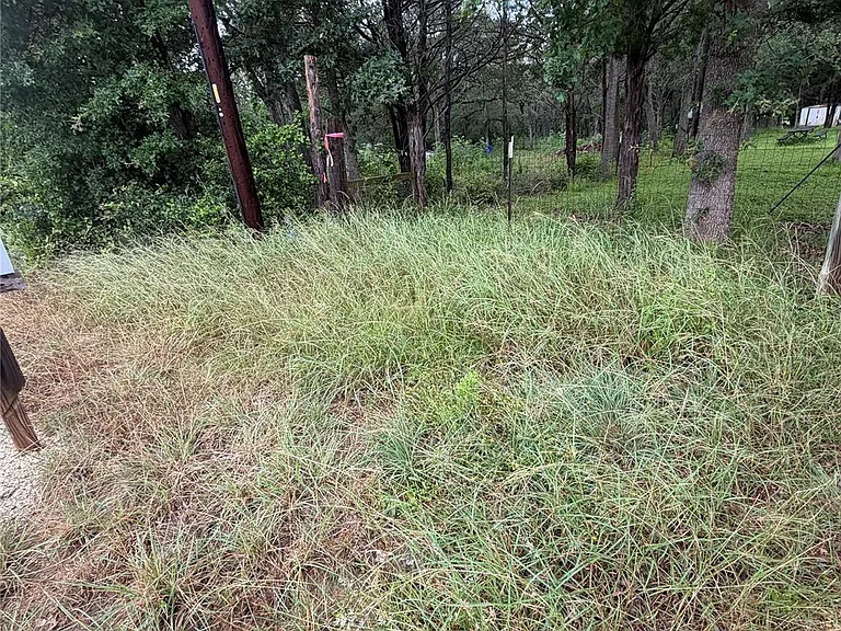 214 The Forest Rd — Photo 12