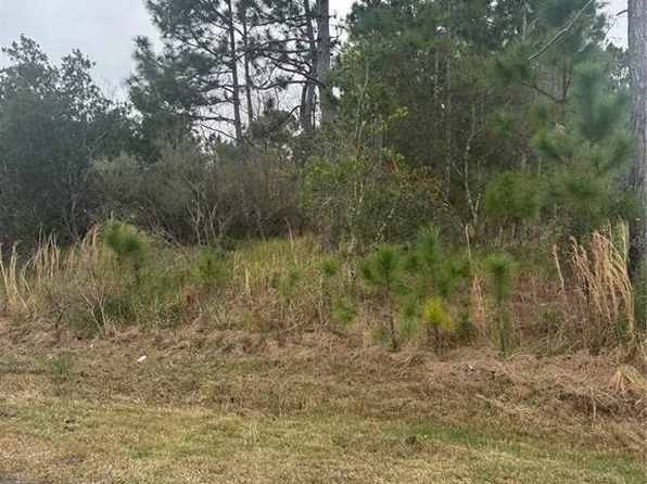 3 Lansing Ln Lot 2, Palm Coast, FL 32137