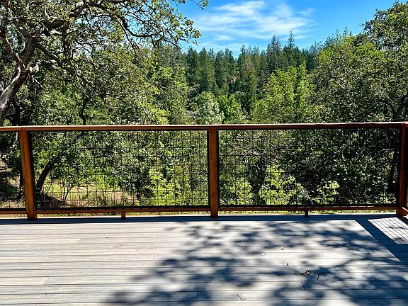 View of forest from new back (main) deck