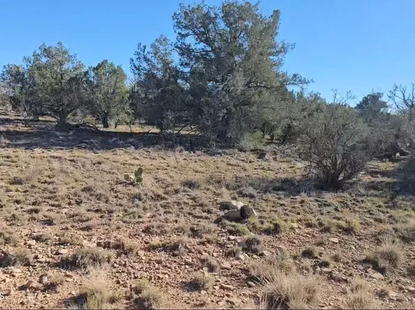 54593 N Thunderbird Ln, Seligman, AZ 86337