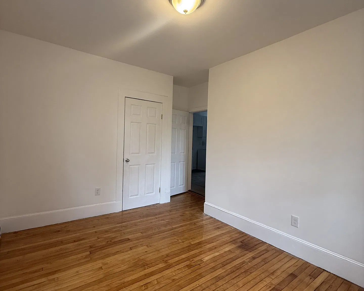 1 bed, 482 sqft, $1,800 — Photo 4