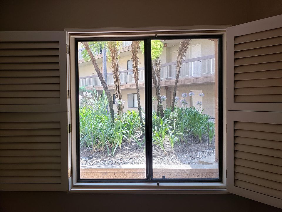 View out the kitchen window