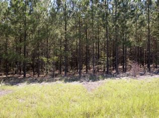 14 Coleman Chapel Rd TRACT 14, Bartow, GA 30413