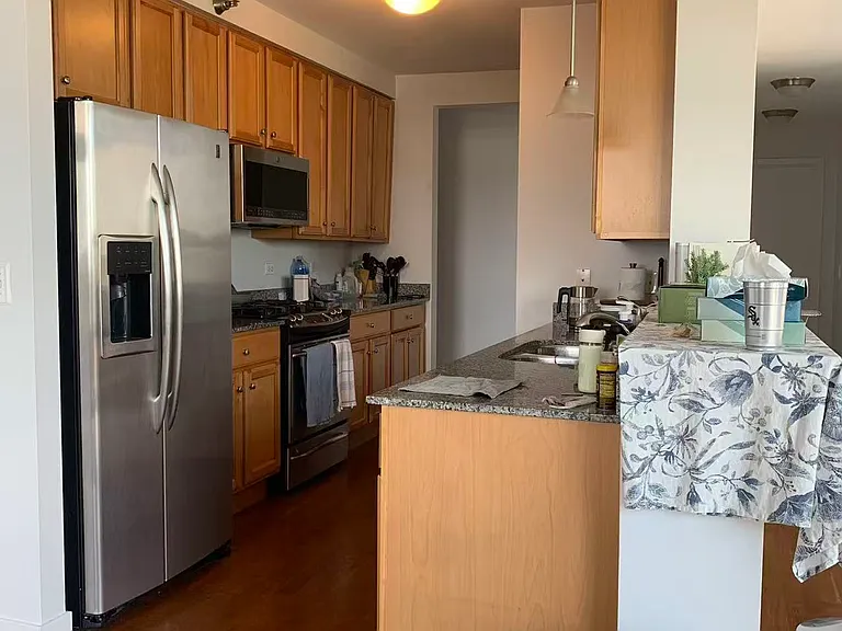 1160 S Michigan Ave #1103 — Photo 3
