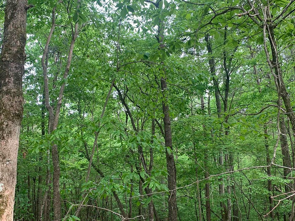 0 Auraria Rd, Dahlonega, GA 30533 MLS 20080341 Zillow