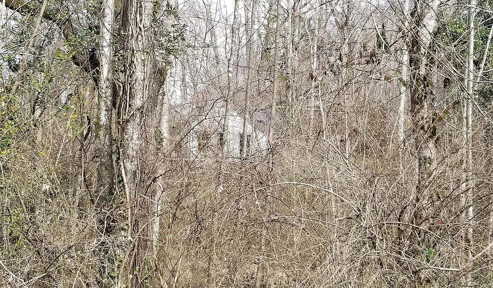 2nd image of 6318 Stonecress Ln