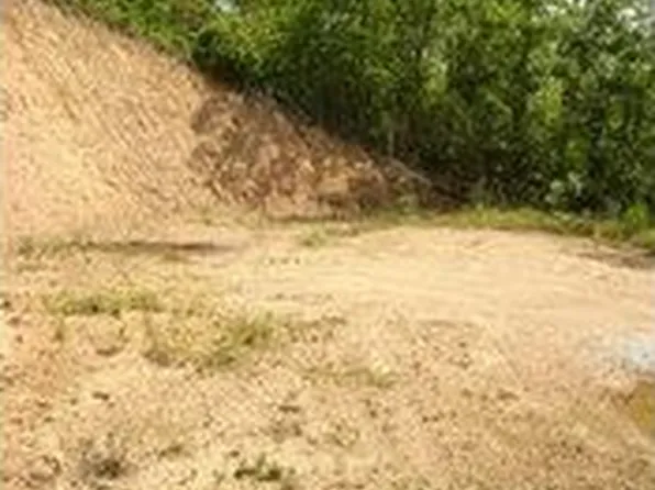 520 Weshouse Cv, Bryson City, NC 28713