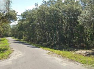 Fisher Way Dr #14, Ocklawaha, FL 32179